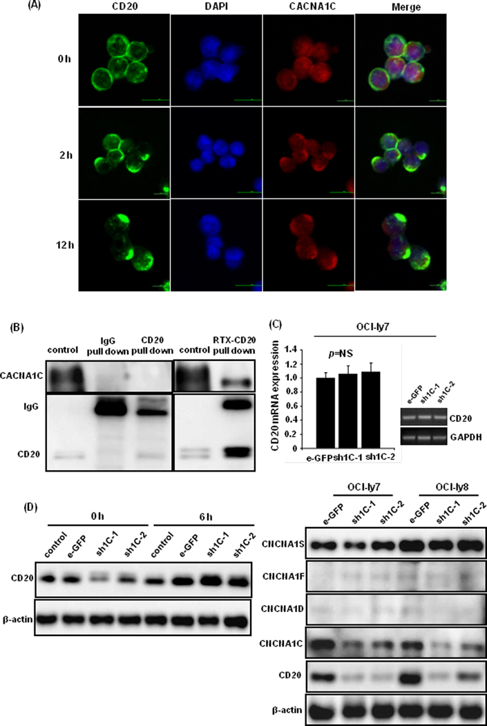 Figure 3: