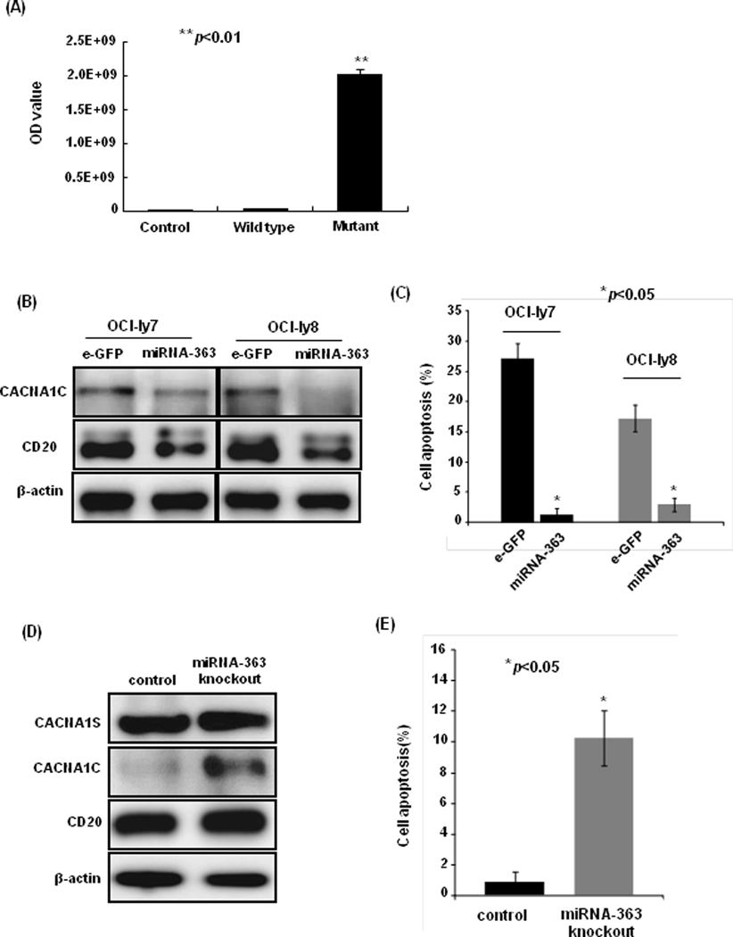 Figure 5: