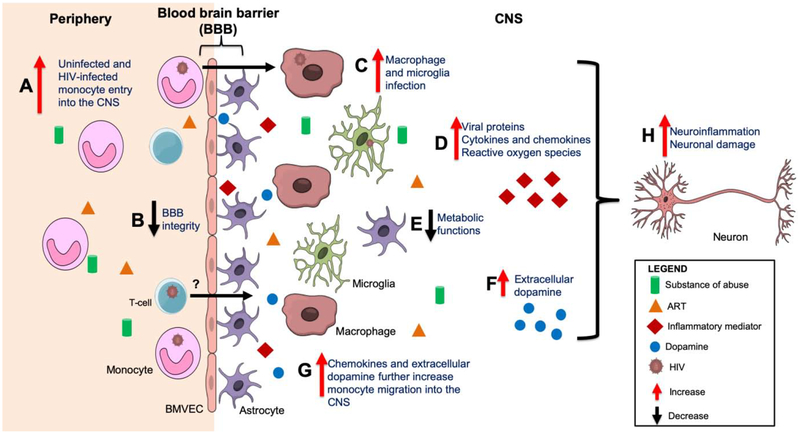 Figure 2: