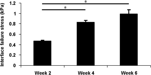 FIG. 6.