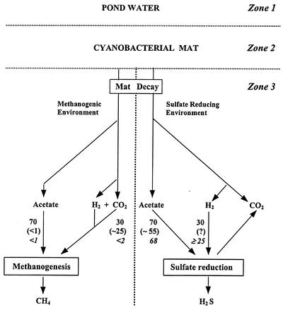 FIG. 8.