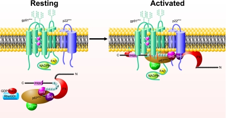 FIGURE 1.