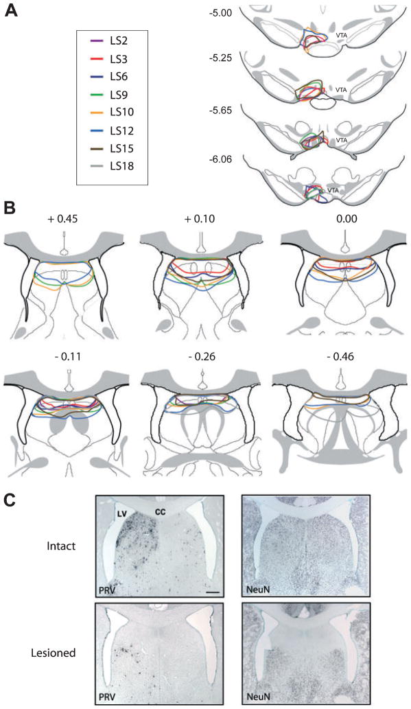 Fig. 8