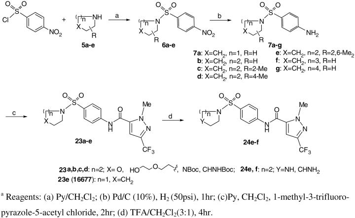 Scheme 4