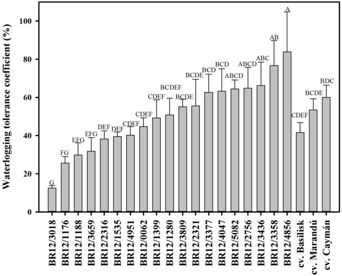 FIGURE 2