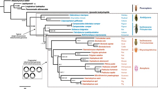 Figure 2.