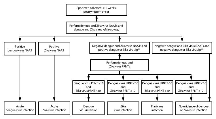 Figure illustrates dengue and Zika virus testing recommendations for pregnant women with a clinically compatible illness and risk for infection with both viruses. Diagnostic testing recommendations include immunoglobulin M assays, nucleic acid amplification tests, and plaque reduction neutralization tests.