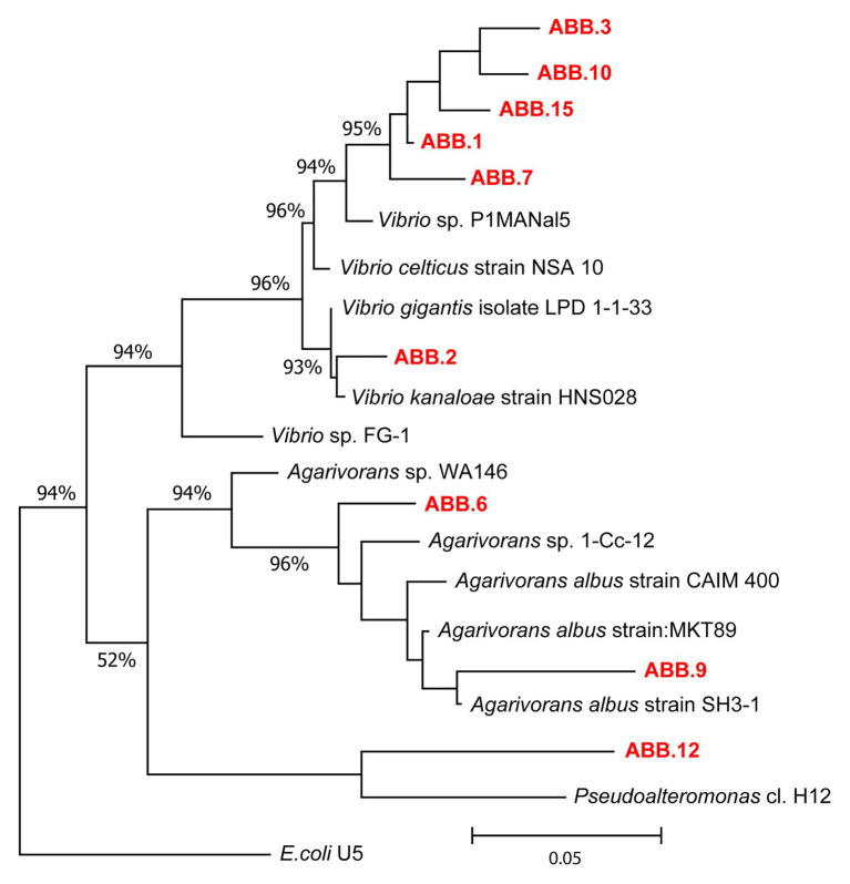 Figure 5