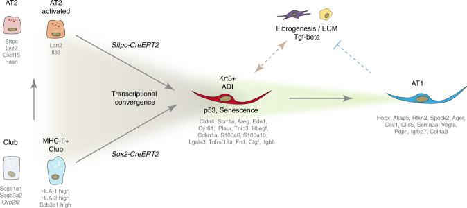 Fig. 10