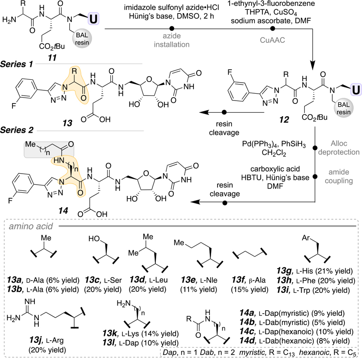 Scheme 3.