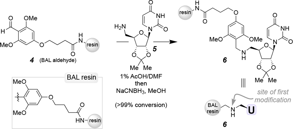 Scheme 1.