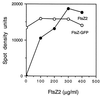 FIG. 6