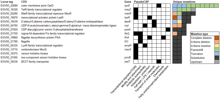 FIG 2