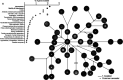 FIG 4