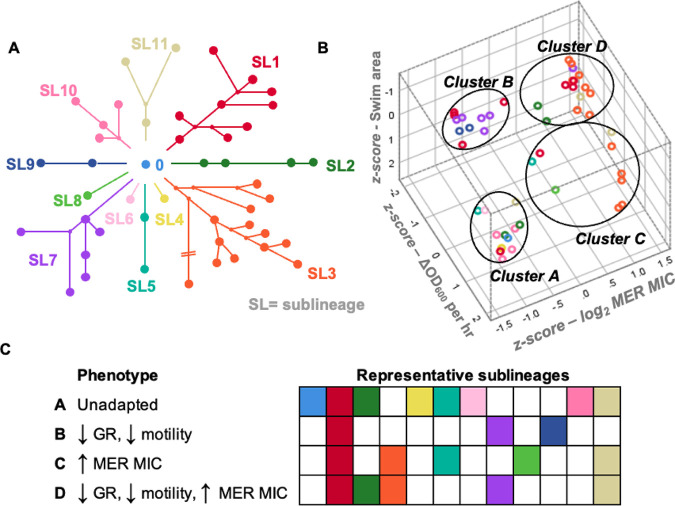 FIG 6