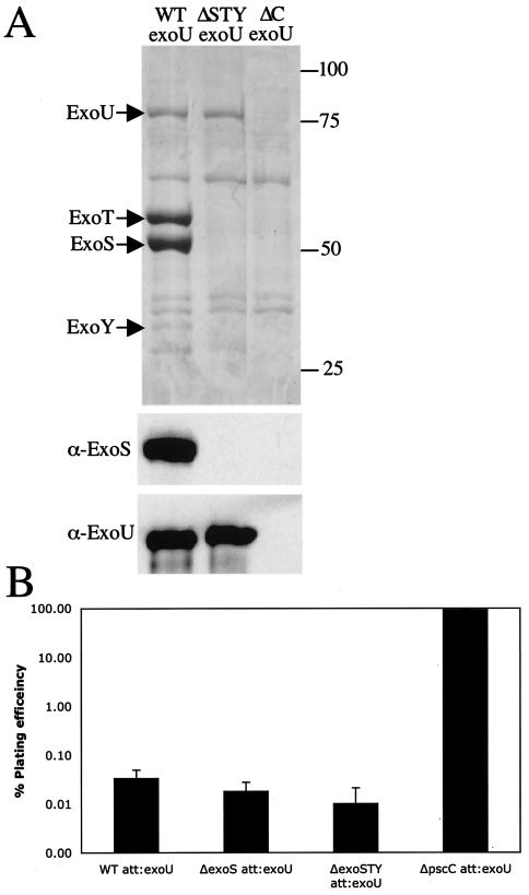 FIG. 5.