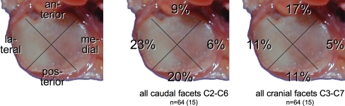 Fig. 6