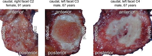 Fig. 5