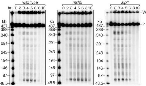 Extended Data Figure 1