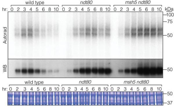 Extended Data Figure 6