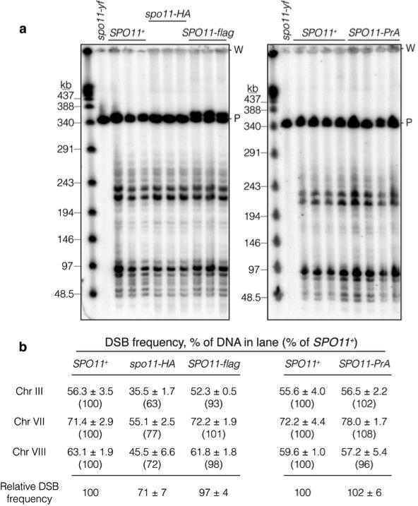 Extended Data Figure 2