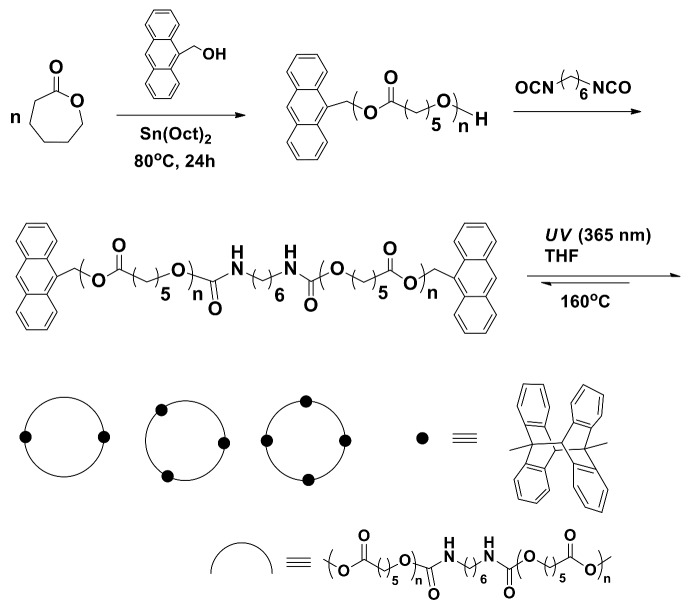 Scheme 2