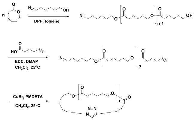 Scheme 5