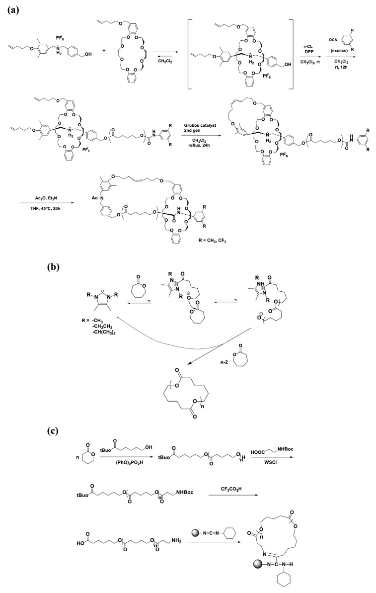 Scheme 3