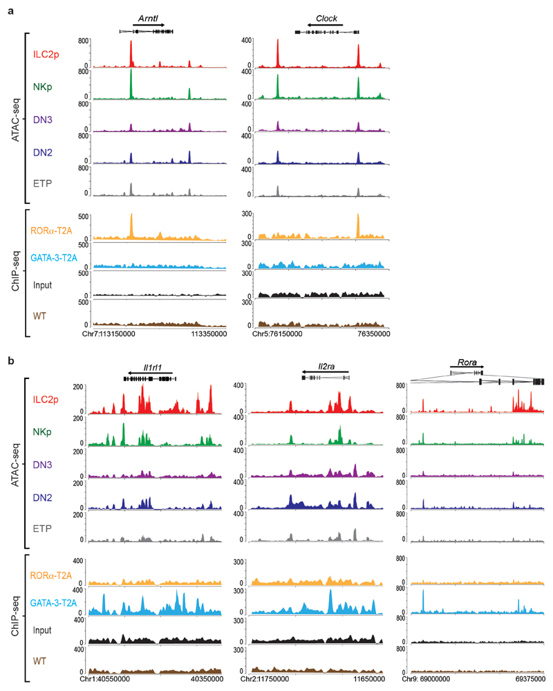 Extended Data Fig. 4