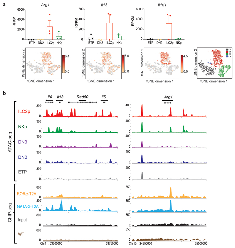 Extended Data Fig. 5