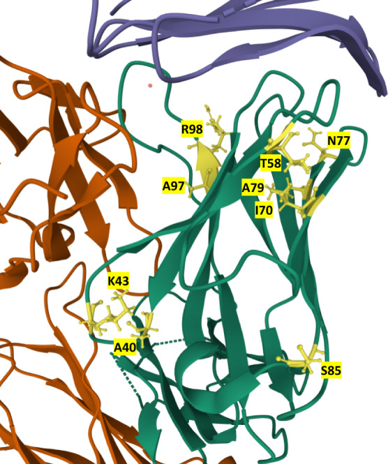 Fig. 7