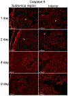 Figure 4: