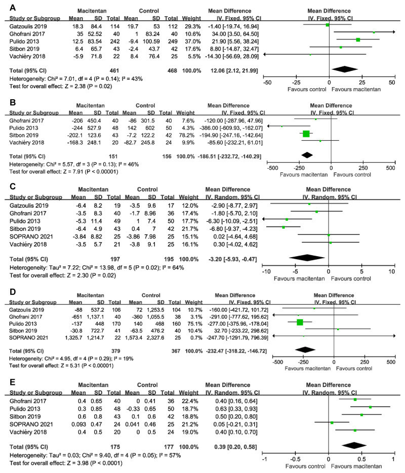 Forest plot assessing the efficacy of macitentan on (A) 6-min walk distance, (B) pulmonary vascular resistance, (C) mean pulmonary artery pressure, (D) NT-proBNP, and (E) cardiac index