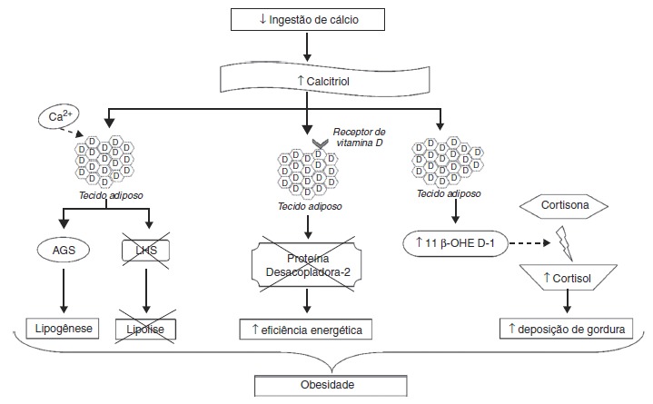 Figura 2.