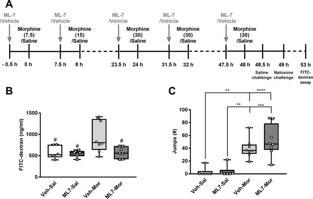 Fig. 6.