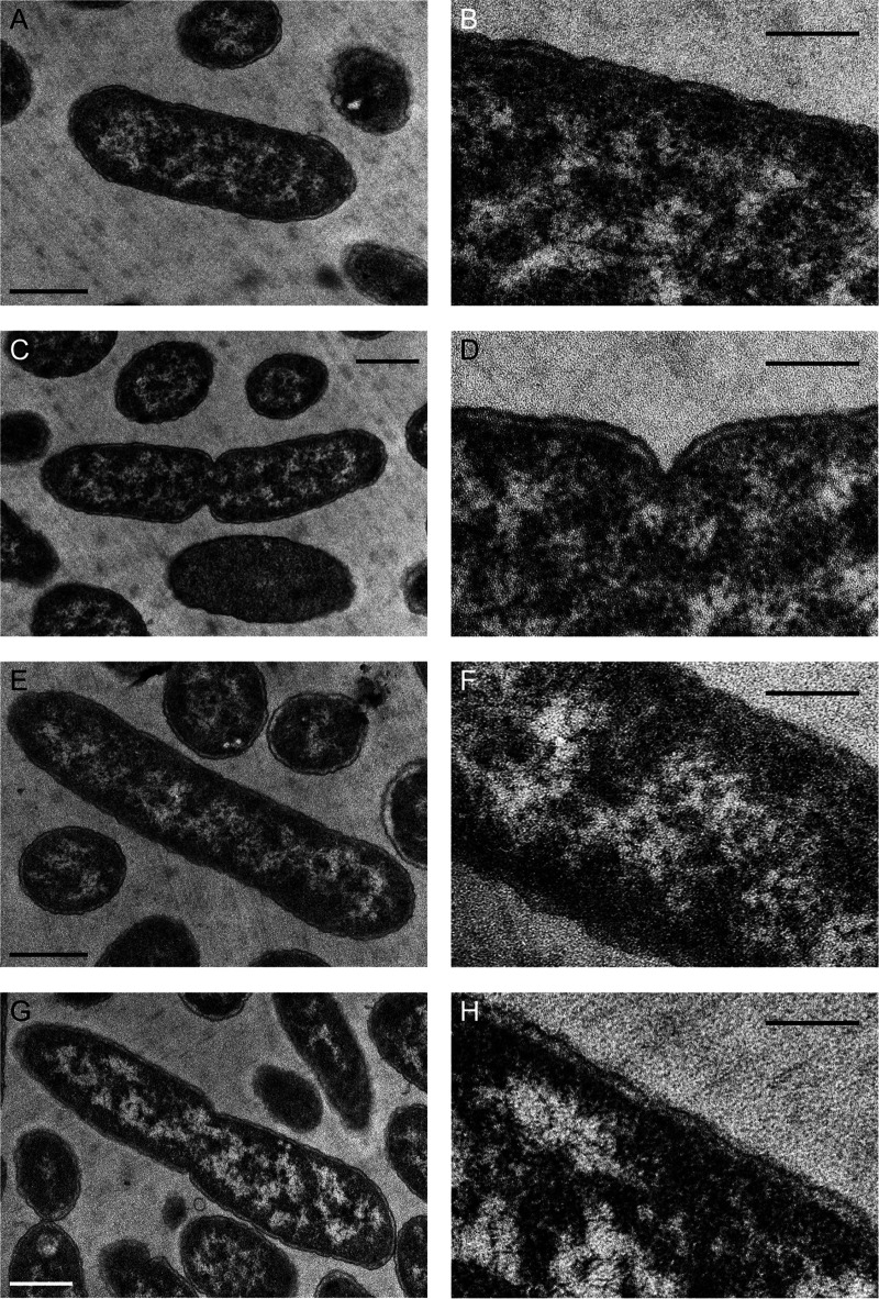 FIG 3