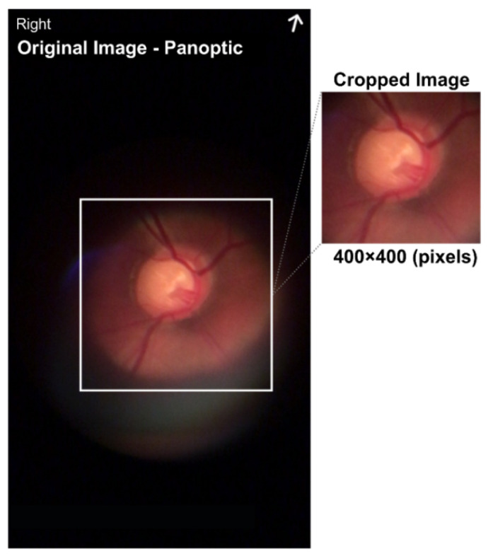 Figure 4