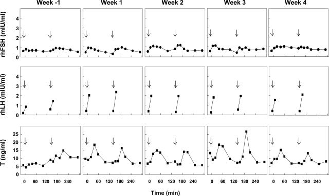 Figure 1