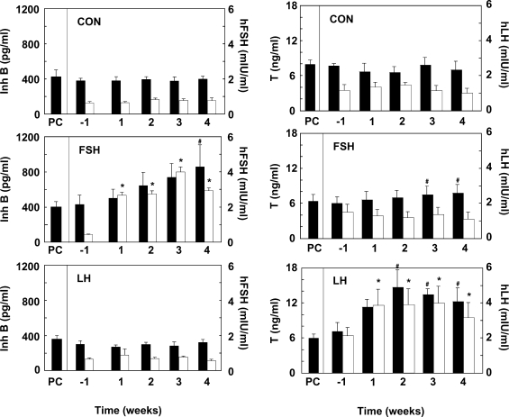 Figure 2