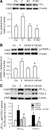 Fig. 9.