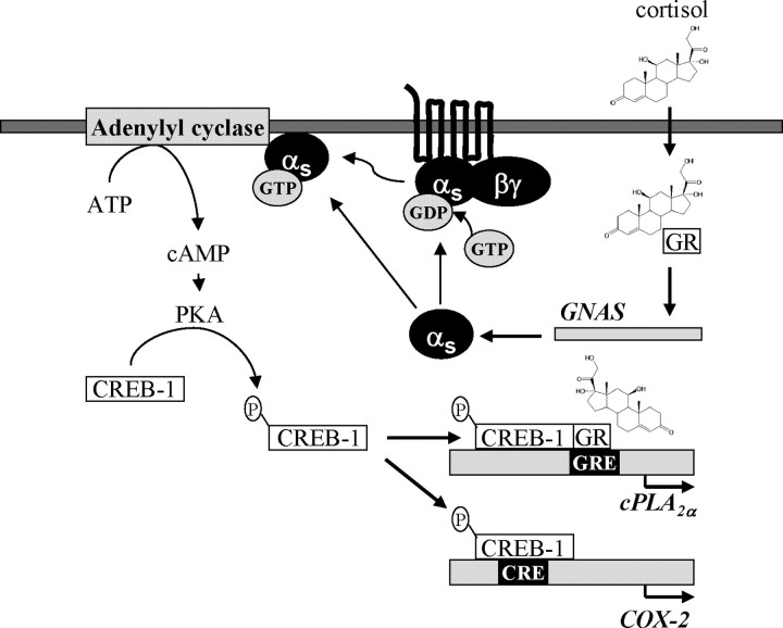 Fig. 10.