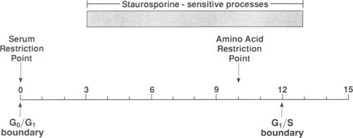 graphic file with name pnas01067-0134-a.jpg