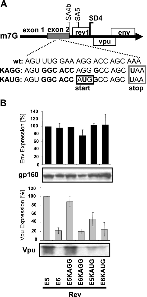 FIG. 8.