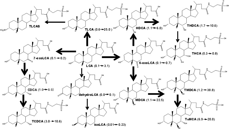 Fig. 7.