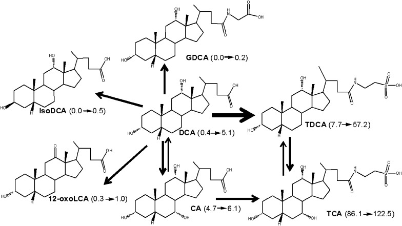 Fig. 5.