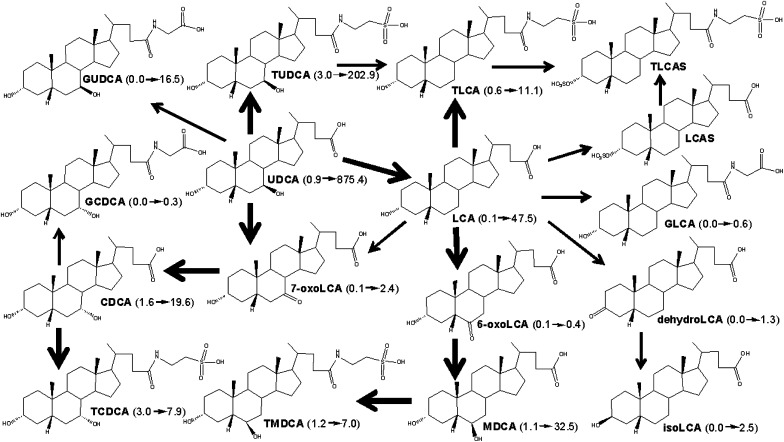 Fig. 8.