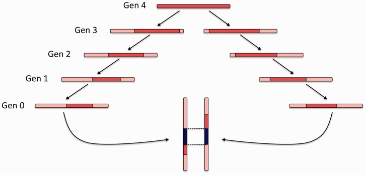 Fig. 1.