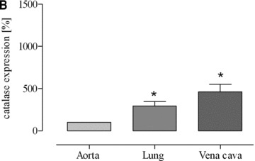 Fig 7