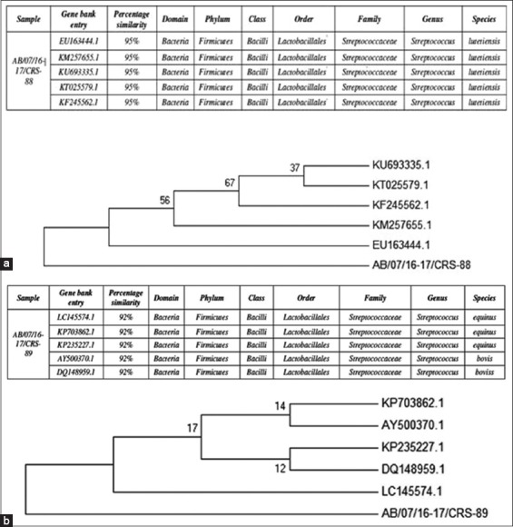 Figure-3