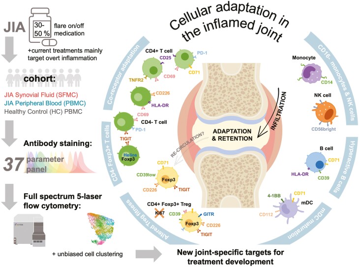 Graphical Abstract